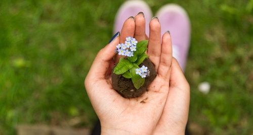 Hossein-Ezzatkhah / unsplash.com